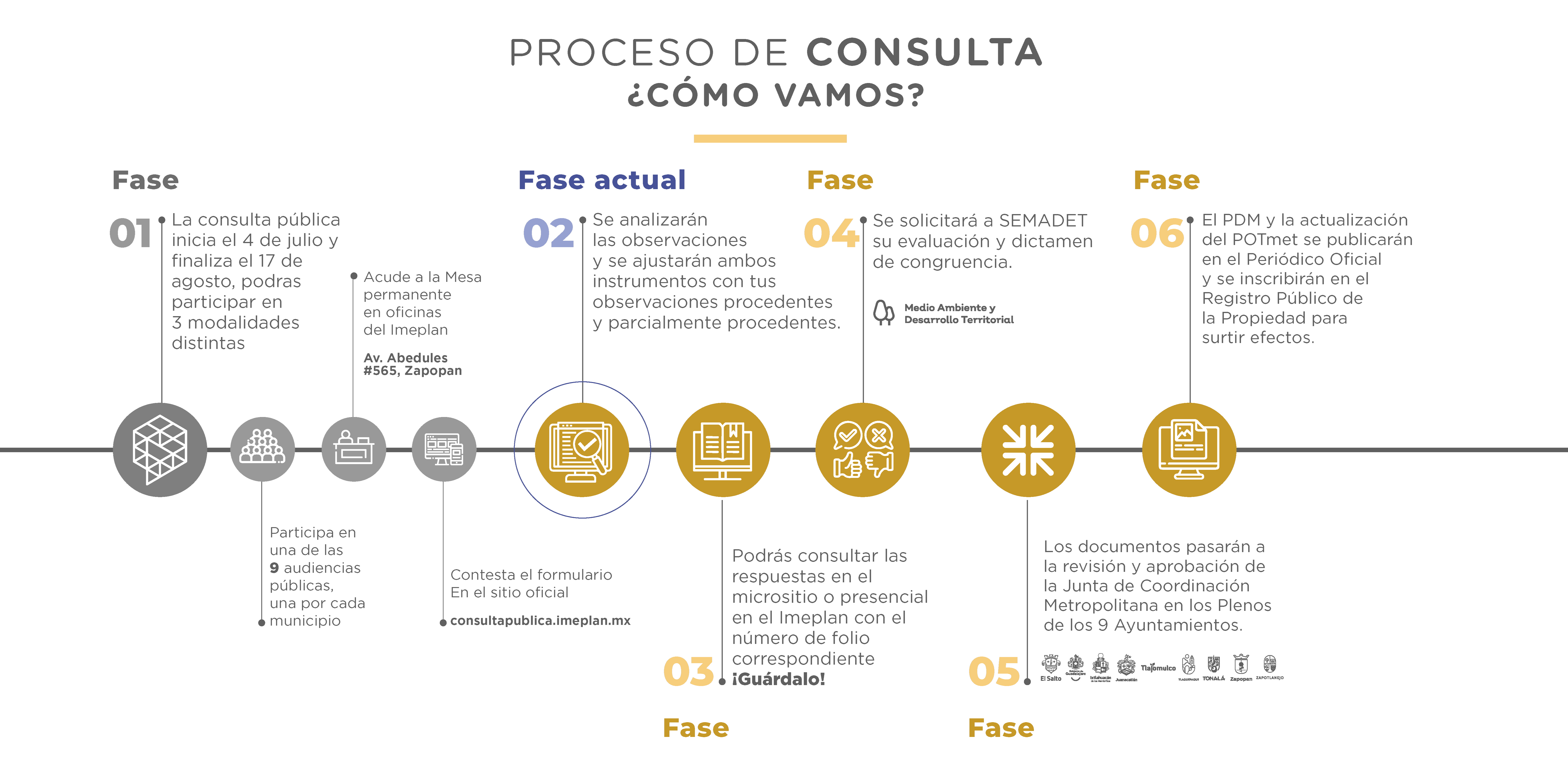 Infografía de proceso de consulta